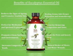img 1 attached to 🌿 Premium USDA Organic Eucalyptus Essential Oil - 4 Oz with Dropper - 100% Pure & Natural - Therapeutic Grade for Diffuser, Aromatherapy, Face, Body & Hair Care