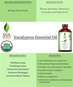 img 3 attached to 🌿 Premium USDA Organic Eucalyptus Essential Oil - 4 Oz with Dropper - 100% Pure & Natural - Therapeutic Grade for Diffuser, Aromatherapy, Face, Body & Hair Care