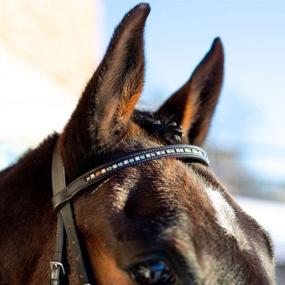 img 2 attached to Horze Spirit Weston Bridle Brown