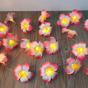 img 1 attached to 🌺 Enchanting AceList Frangipani 20 LED String Light Set: Vibrant Hawaiian Foam Artificial Plumeria Pink Flower Battery Powered Fairy Starry Lights for Dreamy Wedding and Beach Parties