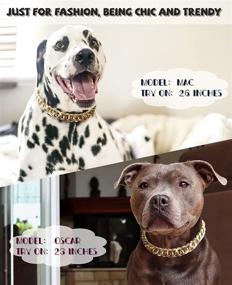 img 1 attached to 🐶 Stylish PP COLOR Gold Chain Dog Collar-3/4 Width Cuban Link Dog Necklace: Perfect Fashion Pet Collar for Pit Bulldog, Lightweight Metal Jewelry Chain Puppy Accessories 23&#34;