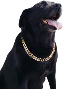 img 4 attached to 🐶 Stylish PP COLOR Gold Chain Dog Collar-3/4 Width Cuban Link Dog Necklace: Perfect Fashion Pet Collar for Pit Bulldog, Lightweight Metal Jewelry Chain Puppy Accessories 23&#34;