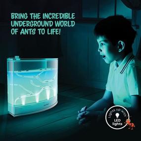 img 3 attached to 🐜 Illuminated Ant Habitat Kit for Kids: A Bright and Educational Experience