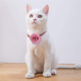 img 1 attached to 🌸 Cooyeah 40-Piece Dog Collar Flowers: Stylish Pet Bowtie Flower Collars for Cat Puppy Grooming