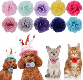 img 2 attached to 🌸 Cooyeah 40-Piece Dog Collar Flowers: Stylish Pet Bowtie Flower Collars for Cat Puppy Grooming