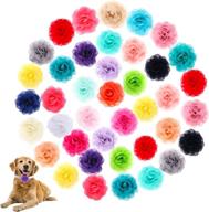 🌸 cooyeah 40-piece dog collar flowers: stylish pet bowtie flower collars for cat puppy grooming logo