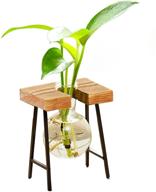 улучшите свой домашний сад с помощью kingbuy desktop air plant terrarium glass planter и retro solid wood mini bench holder: идеальная гидропонная пропагация растений и декорация с 1 луковичным вазой логотип