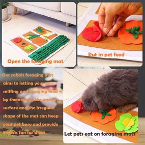 img 2 attached to Foraging Washable Encourages Interactive Chinchillas