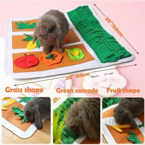 img 3 attached to Foraging Washable Encourages Interactive Chinchillas