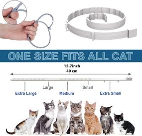 img 1 attached to 🐱 Ultimate Protection: Cat Flea and Tick Prevention Collar for 8 Months - Adjustable, Waterproof, Natural Ingredients for Cats