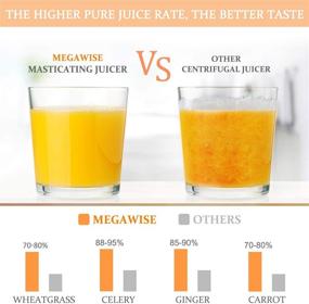 img 2 attached to MegaWise Pro Slow Masticating Juicer - 95% Juice Yield, 2 Speed Settings, 9 Segment Spiral Cold Press Extractor for Vegetables, Fruits, and Nuts - Enhanced Nutrition & Improved Taste