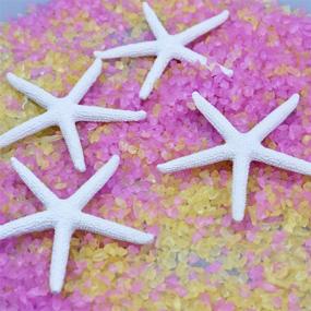 img 1 attached to LJY (Pack of 25) 3.15 Inches White Resin Pencil Finger Starfish for Wedding, Home Decor, and Craft Projects