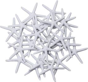 img 4 attached to LJY (Pack of 25) 3.15 Inches White Resin Pencil Finger Starfish for Wedding, Home Decor, and Craft Projects