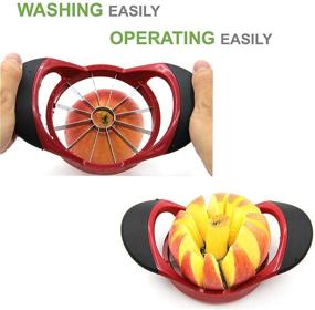 img 3 attached to 🍎 Large Stainless Steel Apple Corer and Slicer with Ergonomic ABS Anti-Slip Handle, 12 Sharp Blades - Sturdy, Rust Resistant Fruit Cutter