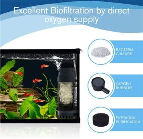 img 1 attached to 🐟 AQQA Fluidized Moving Bed Filter with Bubble Bio Media, Air Stone for Enhanced Oxygenation, Submersible Sponge Filter – Ideal for Marine and Freshwater Aquariums Cleaning