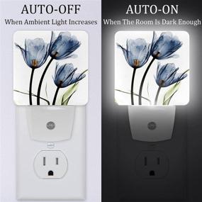 img 3 attached to 🌷 LORVIES Plug-In LED Night Light with Blue Tulip Floral Design, Auto Sensor for Dusk to Dawn, Decorative Nightlight for Bedroom, Bathroom, Kitchen, Hallway, Stairs, Baby's Room - Energy Saving