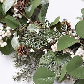 img 1 attached to 🎄 Skrantun 20 Inch Christmas Wreath: White Berry & Pine Cones + Artificial Snow - Winter Door Decorations