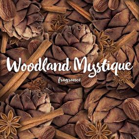 img 3 attached to 🍂 Набор для запуска Air Wick Woodland Mystique Fall Scent + 3 заправки - освежитель воздуха на основе эфирных масел