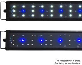 img 3 attached to 🐠 Beamswork EA Timer 6500K 0.50W LED Aquarium Light for Freshwater Plants - 60cm (24")