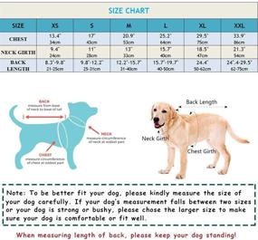 img 2 attached to Canine Recovery Suit: Surgical Pet Aftercare Wear Shirts, Professional Dog Recovery Shirt for Males and Females, Anti-Licking Post Surgery, Alternative Abdominal Wound Protector and Anti-Anxiety Solution