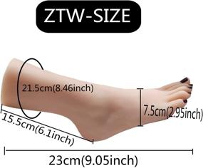 img 3 attached to 👣 TZWTZW Silicone Life-Size Female Model Feet: Display Jewelry, Sandals, Shoes, Socks, Artistic Sketches, Nail Exercises (Red Nail)