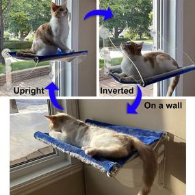 img 2 attached to 🦁 Luxurious Multi-functional Lazy Lion Cat Window Hammock and Perch. Available in 2 Trendy Colors. Easily Mounts on Windows or Walls.