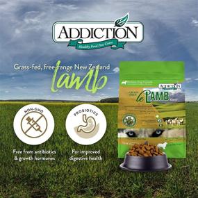 img 1 attached to Addiction Le Lamb - Premium Dry Dog Food from 🐶 New Zealand - Promotes Digestion & Healthy Skin/Coat - Non-GMO, Grass-Fed Lamb