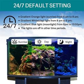 img 3 attached to 🐠 Hygger 24/7 Mode Submersible Aquarium LED Light with Full Spectrum, 3 Rows Beads in 7 Colors, Auto On/Off, Sunrise to Moonlight, Adjustable Timer and Brightness, 10W