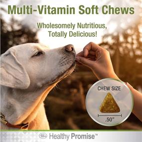 img 3 attached to Four Paws Healthy Promise Multivitamin Cats