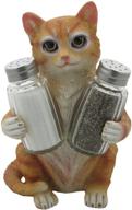 🐈 home-n-gifts orange tabby kitty cat glass salt & pepper shaker set: charming pet statues & sculptures for cat owners logo