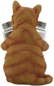 img 1 attached to 🐈 Home-n-Gifts Orange Tabby Kitty Cat Glass Salt & Pepper Shaker Set: Charming Pet Statues & Sculptures for Cat Owners