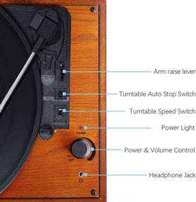 img 2 attached to МУЗИТРЕНД Винтажный Bluetooth проигрыватель виниловых пластинок: 3-скоростной виниловый проигрыватель с стерео-динамиками и портативным ностальгическим дизайном.