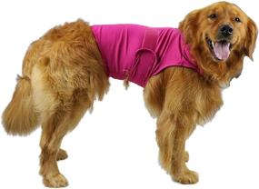 img 4 attached to 🐶 YESTAR Comfort Dog Anxiety Relief Coat for Thunderstorm, Travel, Fireworks, Vet Visits, Separation - Sizes XS to XL (Rose)