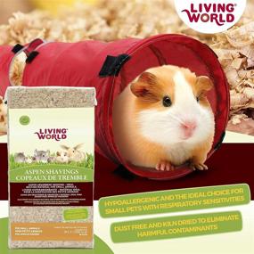 img 2 attached to 🛏️ Optimal Bedding Material for Small Animals in the Living World