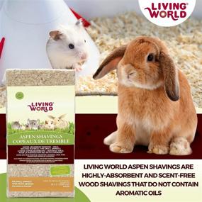 img 3 attached to 🛏️ Optimal Bedding Material for Small Animals in the Living World