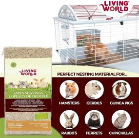 img 1 attached to 🛏️ Optimal Bedding Material for Small Animals in the Living World