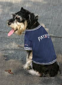 img 1 attached to 🐾 Stylish and Cozy: Pets First New England Patriots Jacket for Your Furry Fan