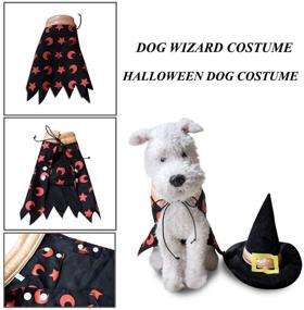 img 2 attached to 🧙 Wizardly Attire for Feline & Canine Companions: Dog Wizard Costume with Cloak, Hat & Cosplay Accessories