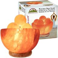 himalayan glow 1328 bowl salt lamp: relax and rejuvenate with massage ball логотип