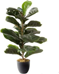 img 4 attached to 🌿 Life-Like Royal Imports Artificial Fiddle Leaf Plant: 28" Tall Ficus Faux Fig Tree in Dark Green Decorative Planter