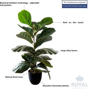 img 1 attached to 🌿 Life-Like Royal Imports Artificial Fiddle Leaf Plant: 28" Tall Ficus Faux Fig Tree in Dark Green Decorative Planter