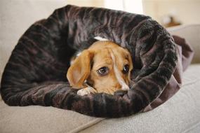 img 2 attached to 🐾 P.L.A.Y. PET LIFESTYLE AND YOU Snuggle Pet Bed: Luxurious Comfort for Your Beloved Pet