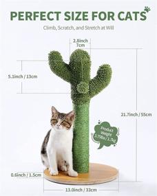 img 3 attached to 🐱 Made4Pets Cat Scratching Post: Vertical Green Cat Tree with Dangling Balls and Natural Sisal Rope for Indoor Cats and Kittens