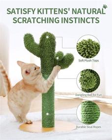 img 2 attached to 🐱 Made4Pets Cat Scratching Post: Vertical Green Cat Tree with Dangling Balls and Natural Sisal Rope for Indoor Cats and Kittens