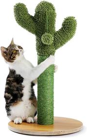 img 4 attached to 🐱 Made4Pets Cat Scratching Post: Vertical Green Cat Tree with Dangling Balls and Natural Sisal Rope for Indoor Cats and Kittens