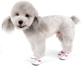 img 1 attached to Zunea Small Dog Shoes for Hot Pavement: Summer Breathable 🐾 Mesh Boots, Adjustable Non-Slip Zipper Pet Booties - White PU Paw Protector