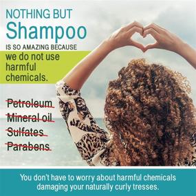 img 2 attached to 🧼 Nothing But Clarifying Shampoo: Sulfate-Free Detox for Natural Hair, Fragrance-Free, Removes Buildup - 12oz, Single Bottle