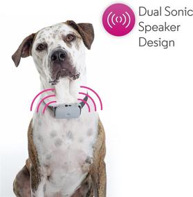 img 3 attached to 🐶 Enhance Dog Training with the Motorola BARK200U Ultrasonic Dog Collar - 3 Levels and Vibration