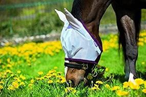 img 1 attached to Review of Horseware Ireland Amigo Fine Mesh Fly Mask with Ears: A Comprehensive Look at its Effectiveness