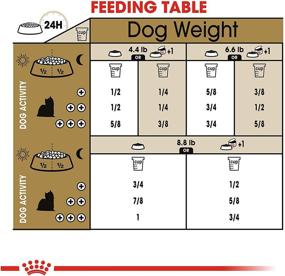 img 1 attached to 🐶 Ultimate Nutrition: Royal Canin Dry Dog Food for Your Canine Companion